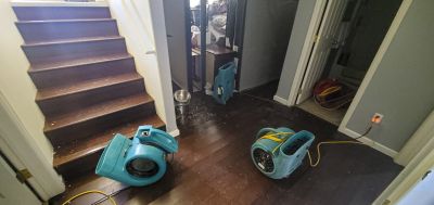 Basement Restoration Service in Phoenix, AZ