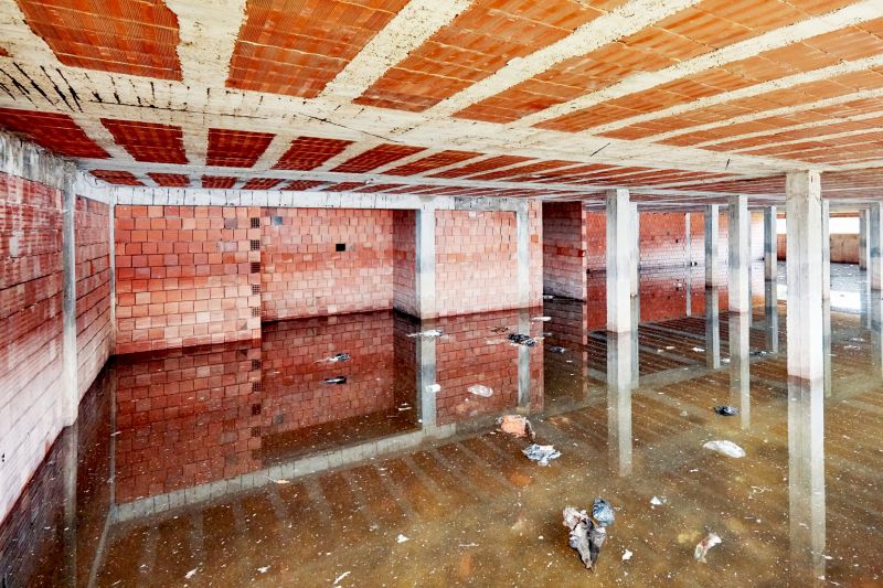 Flood Cleanup Service in Phoenix, AZ