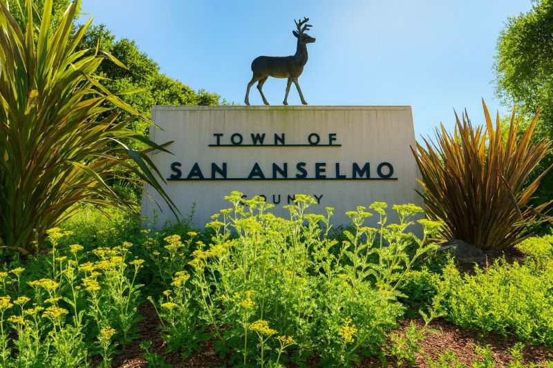 Local Fire Damage Cleanup in San Anselmo, CA