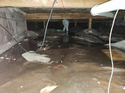 Flooded Basement Cleanup in Mesa, AZ